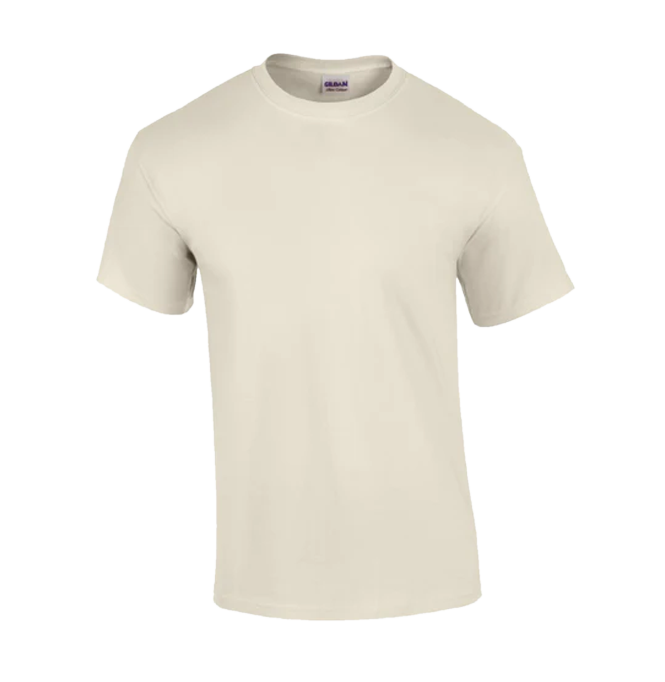 Customized Family Reunion Shirt Design 3